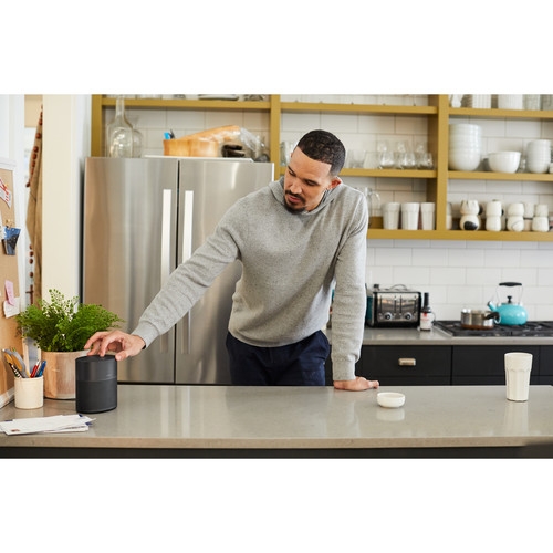 Caixa de Som Alto-falante Bose Home Speaker 300